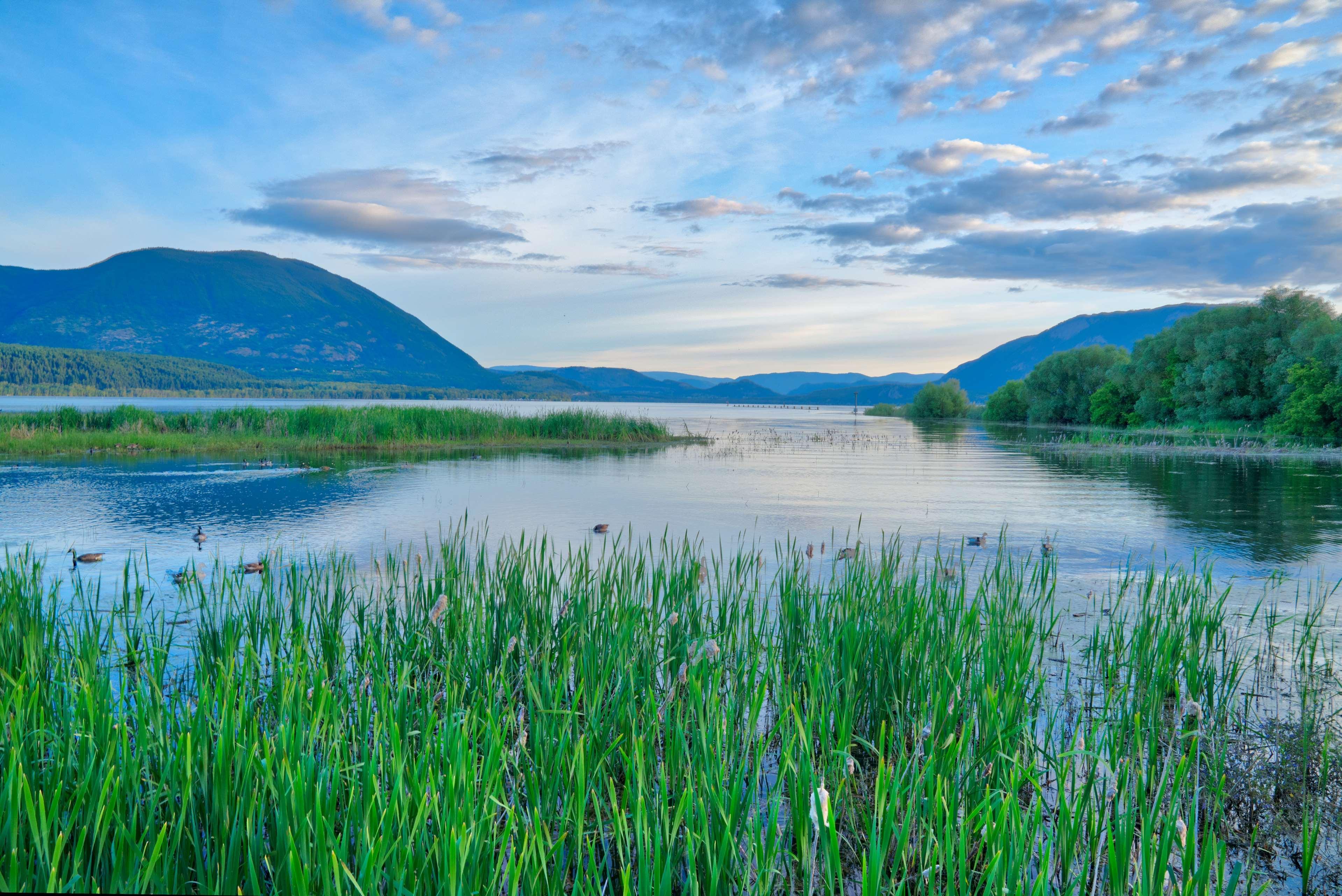 Prestige Harbourfront Resort, Worldhotels Luxury Salmon Arm Eksteriør billede
